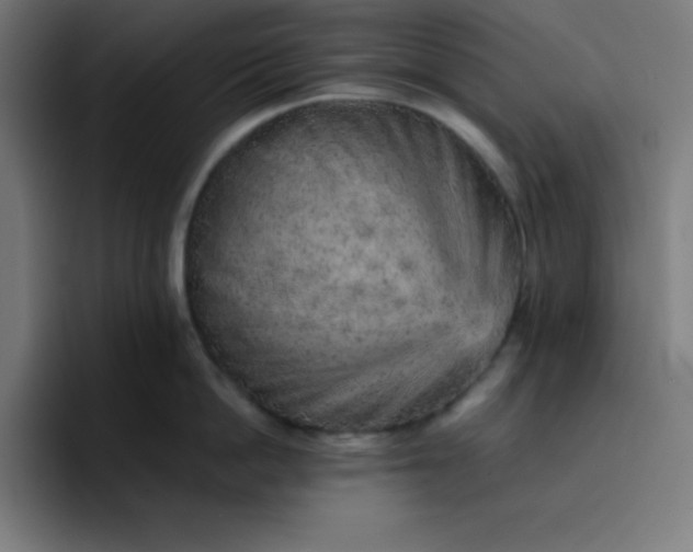 X0000096730862200802191547