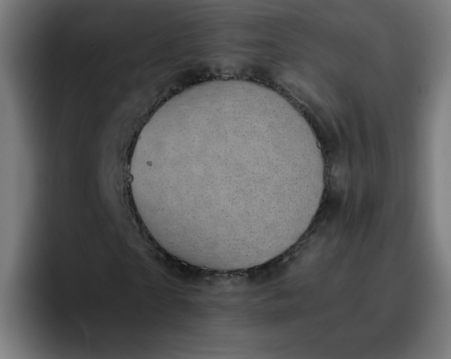 X0000096730865200802191546