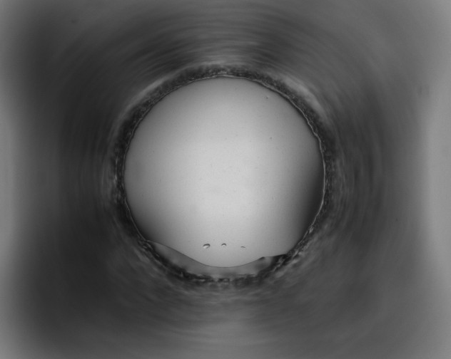 X0000096730872200802191546