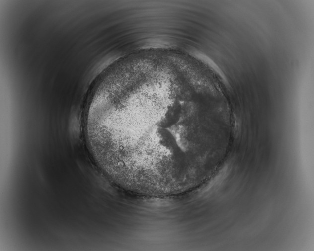 X0000096730874200802191546