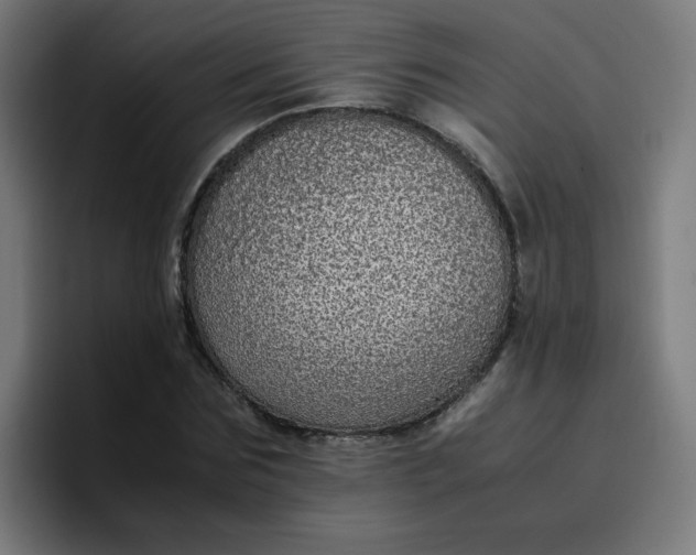 X0000096730875200802191546