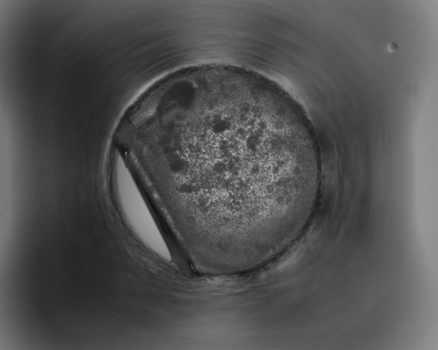 X0000096730879200802191546