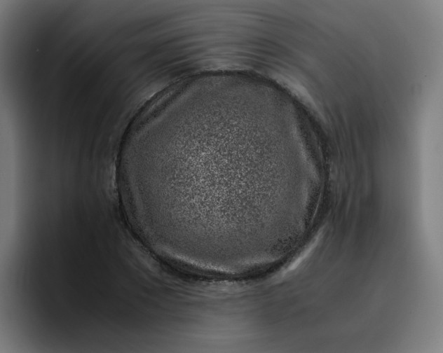 X0000096730881200802191546