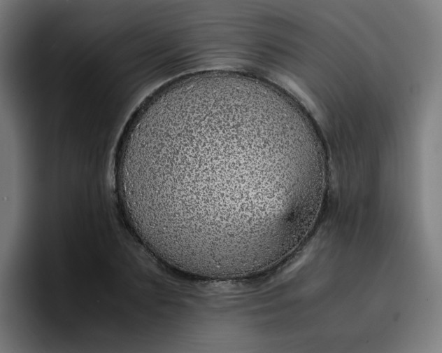 X0000096730883200802191546