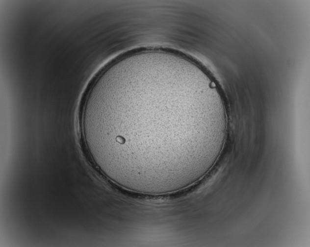 X0000096730887200802191546