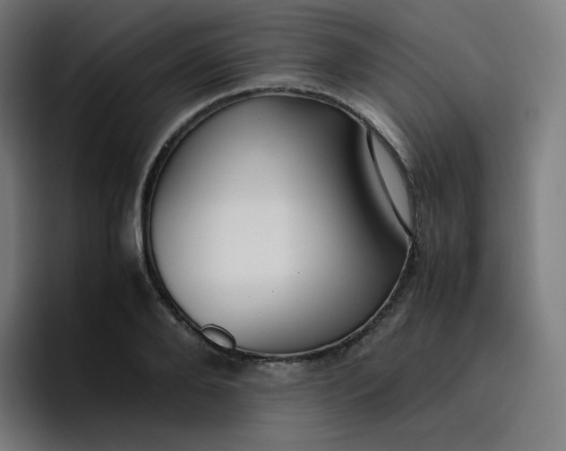 X0000096730888200802191546