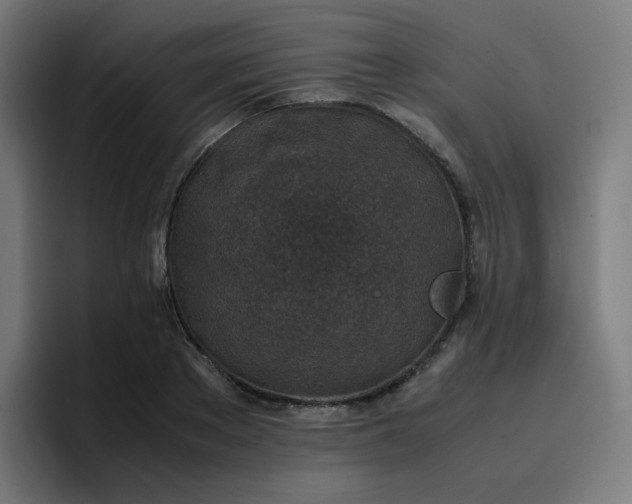 X0000096730889200802191546