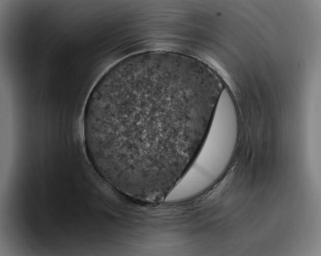 X0000096730891200802191546