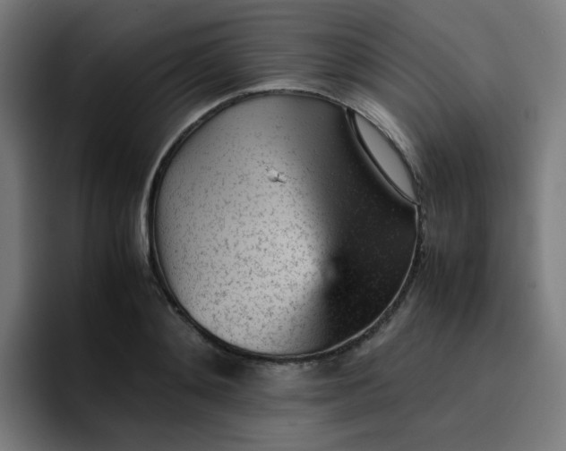 X0000096730892200802191546