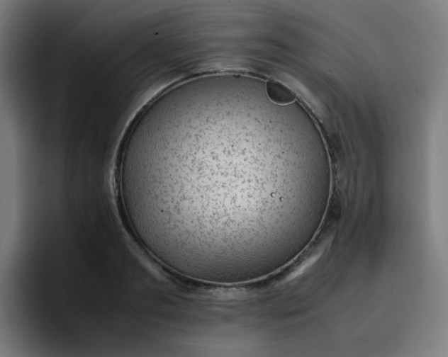 X0000096730893200802191546