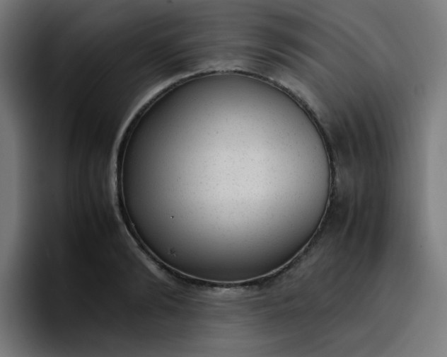 X0000096730894200802191546