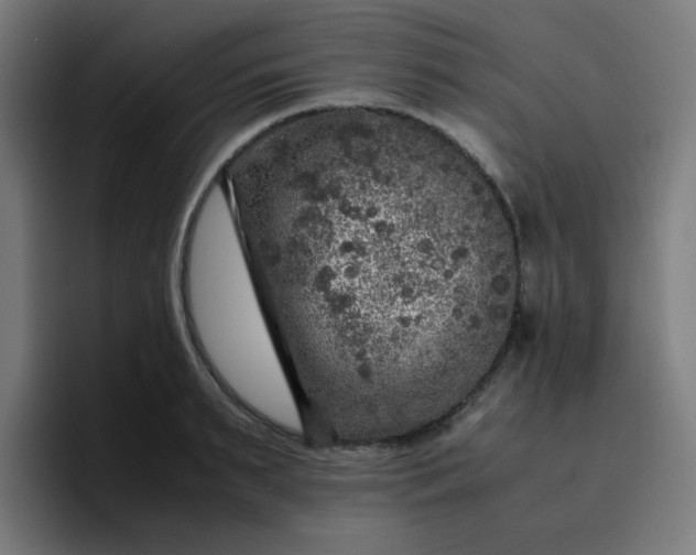 X0000096730895200802191546