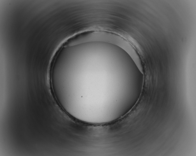 X0000096730896200802191546