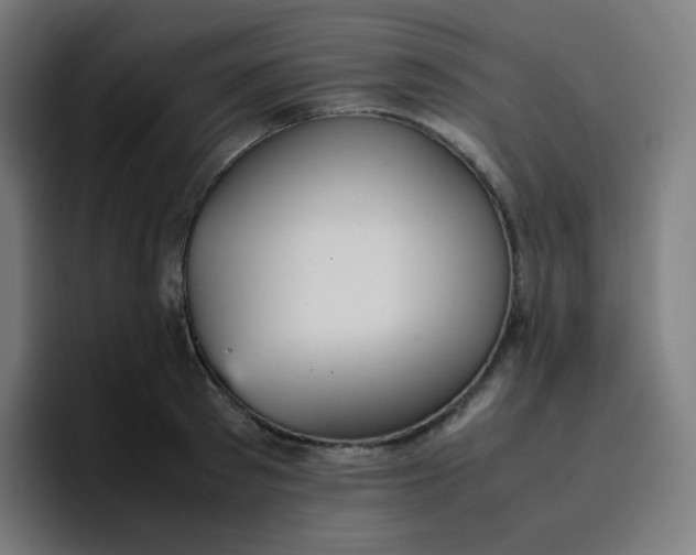 X0000096730897200802191546