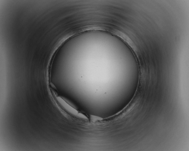 X0000096730898200802191546