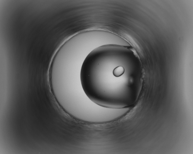 X0000096730900200802191546