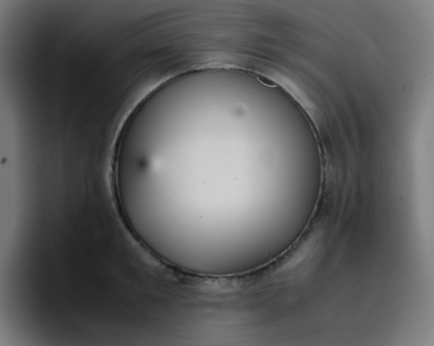 X0000096730901200802191546