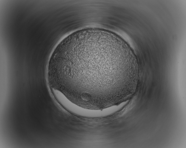 X0000096730903200802191546