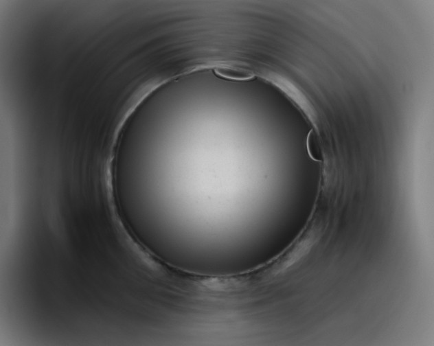 X0000096730906200802191546