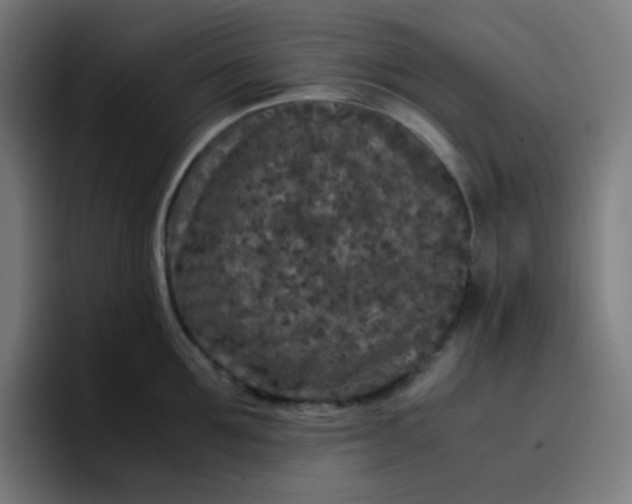 X0000096730907200802191546