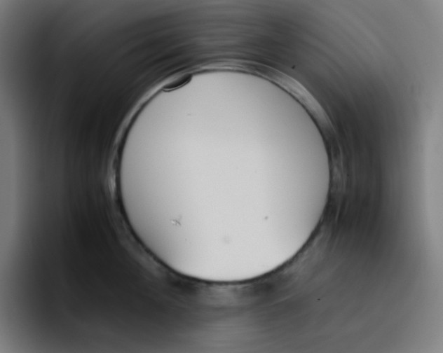 X0000096730908200802191546