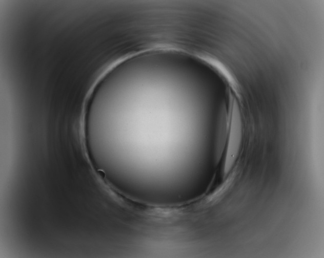 X0000096730910200802191546