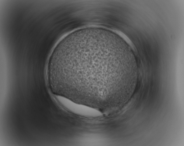 X0000096730911200802191546