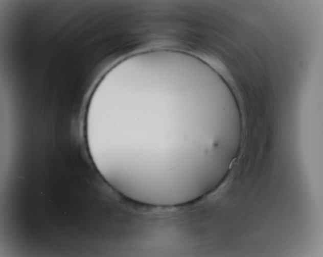 X0000096730912200802191546