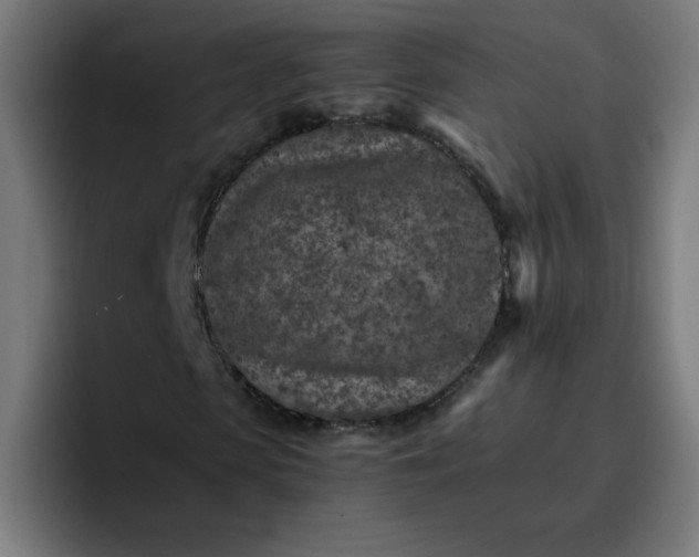 X0000096730913200802191545