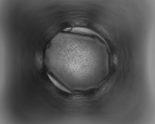 X0000096730915200802191545