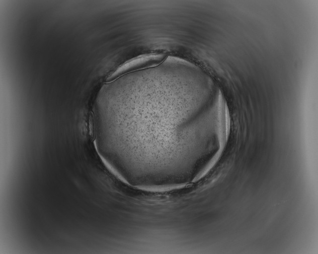 X0000096730916200802191545
