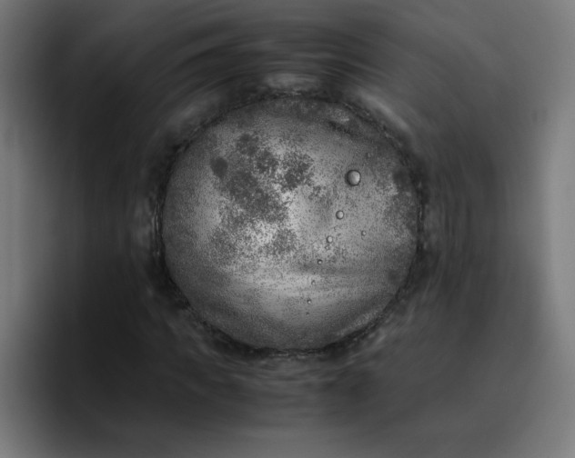 X0000096730917200802191545