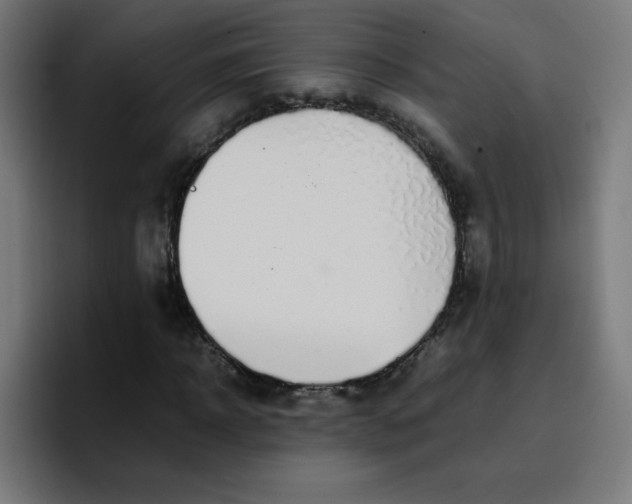 X0000096730918200802191545
