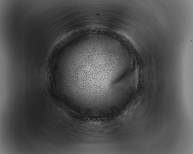 X0000096730919200802191545