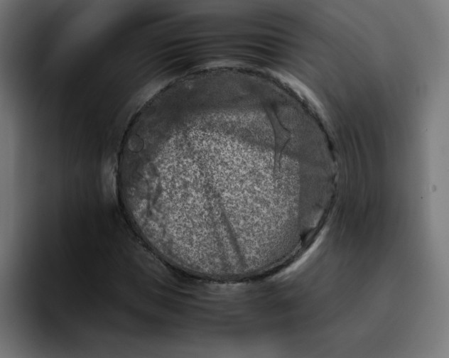 X0000096730921200802191545
