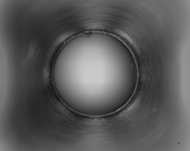 X0000096730922200802191545