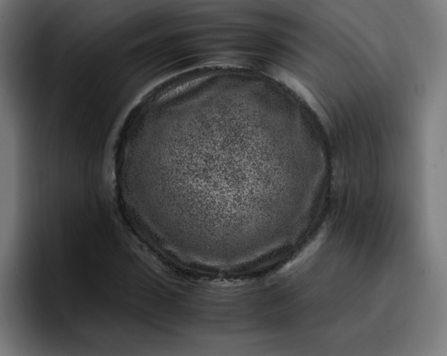 X0000096730923200802191545