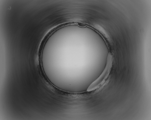 X0000096730924200802191545