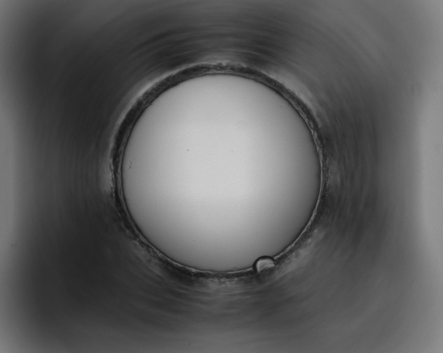 X0000096730927200802191545