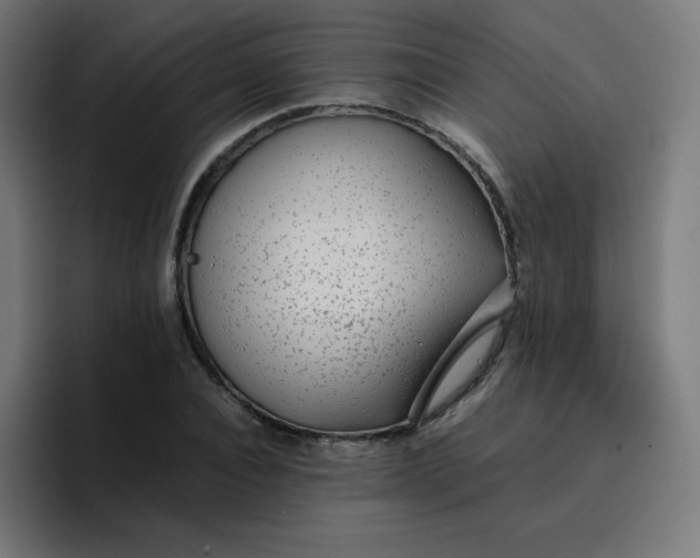 X0000096730928200802191545