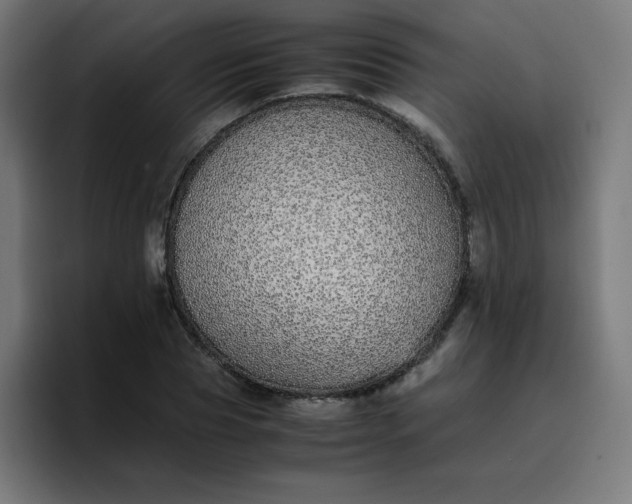 X0000096730929200802191545