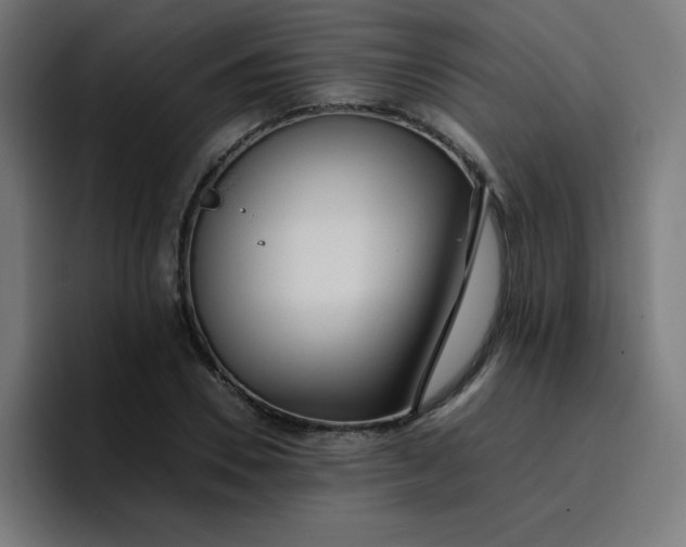 X0000096730930200802191545