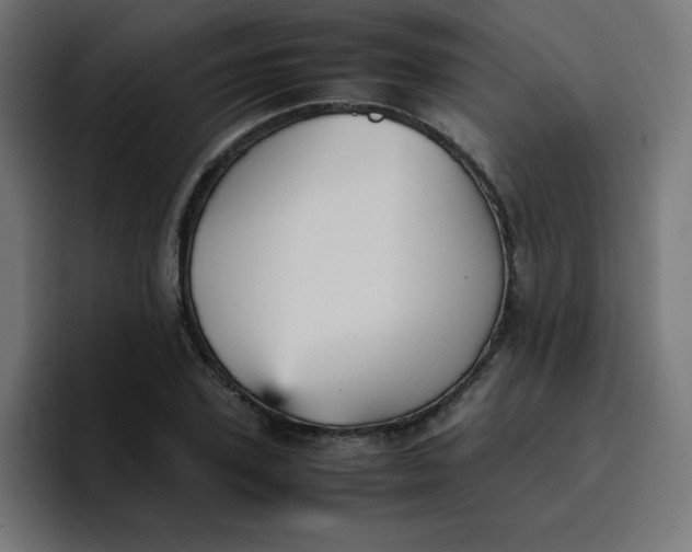 X0000096730931200802191545