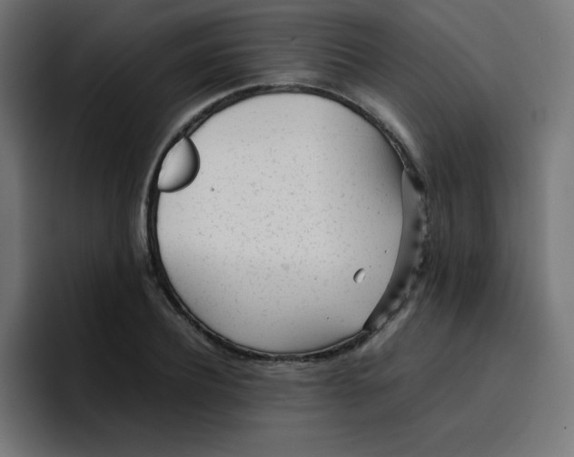 X0000096730932200802191545