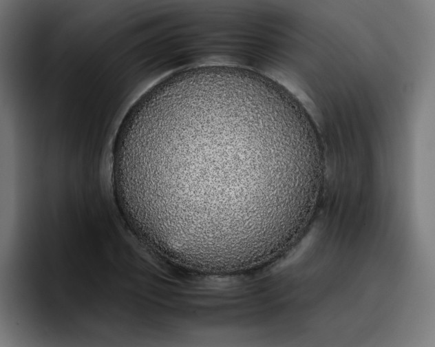 X0000096730933200802191545