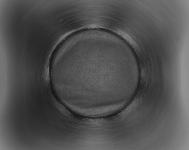 X0000096730934200802191545