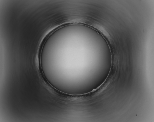 X0000096730936200802191545