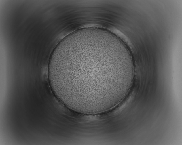 X0000096730937200802191545