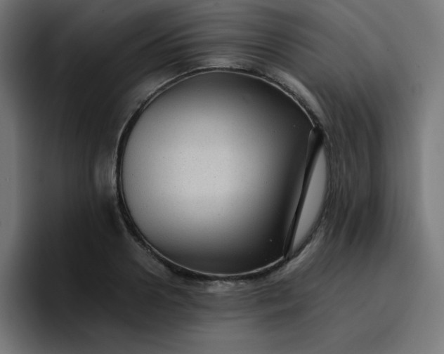X0000096730938200802191545