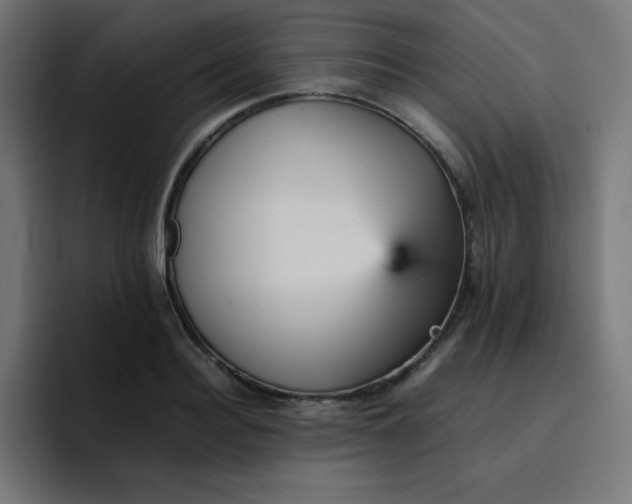 X0000096730940200802191545